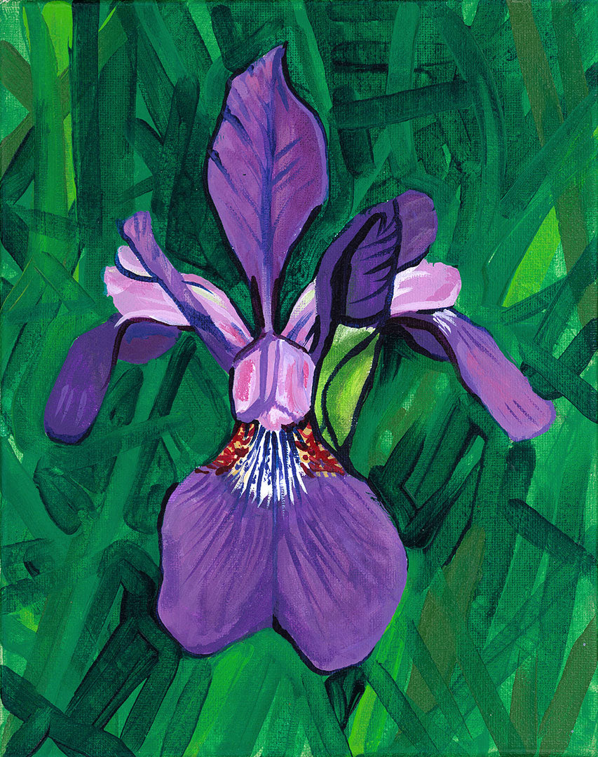 Iris - original painting