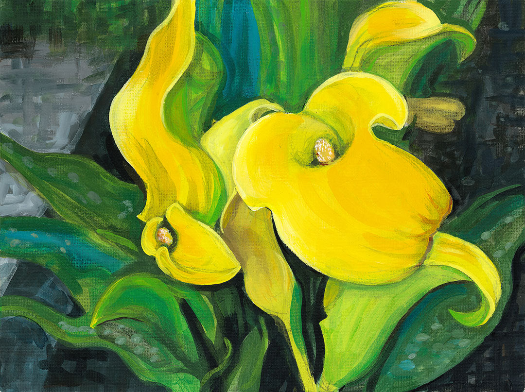Yellow Calla Lilies - original painting
