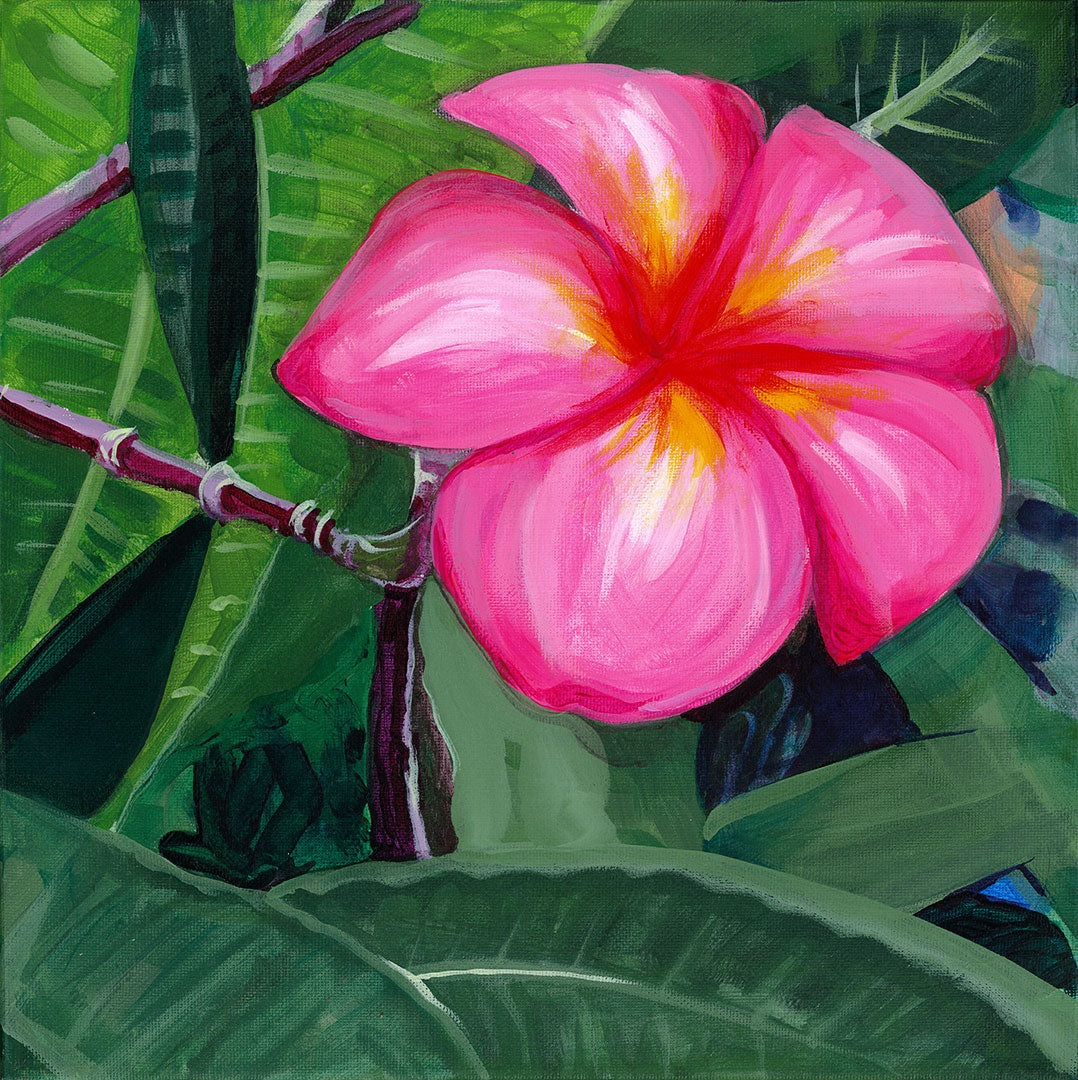 Plumeria - original painting