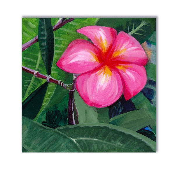 Plumeria - original painting
